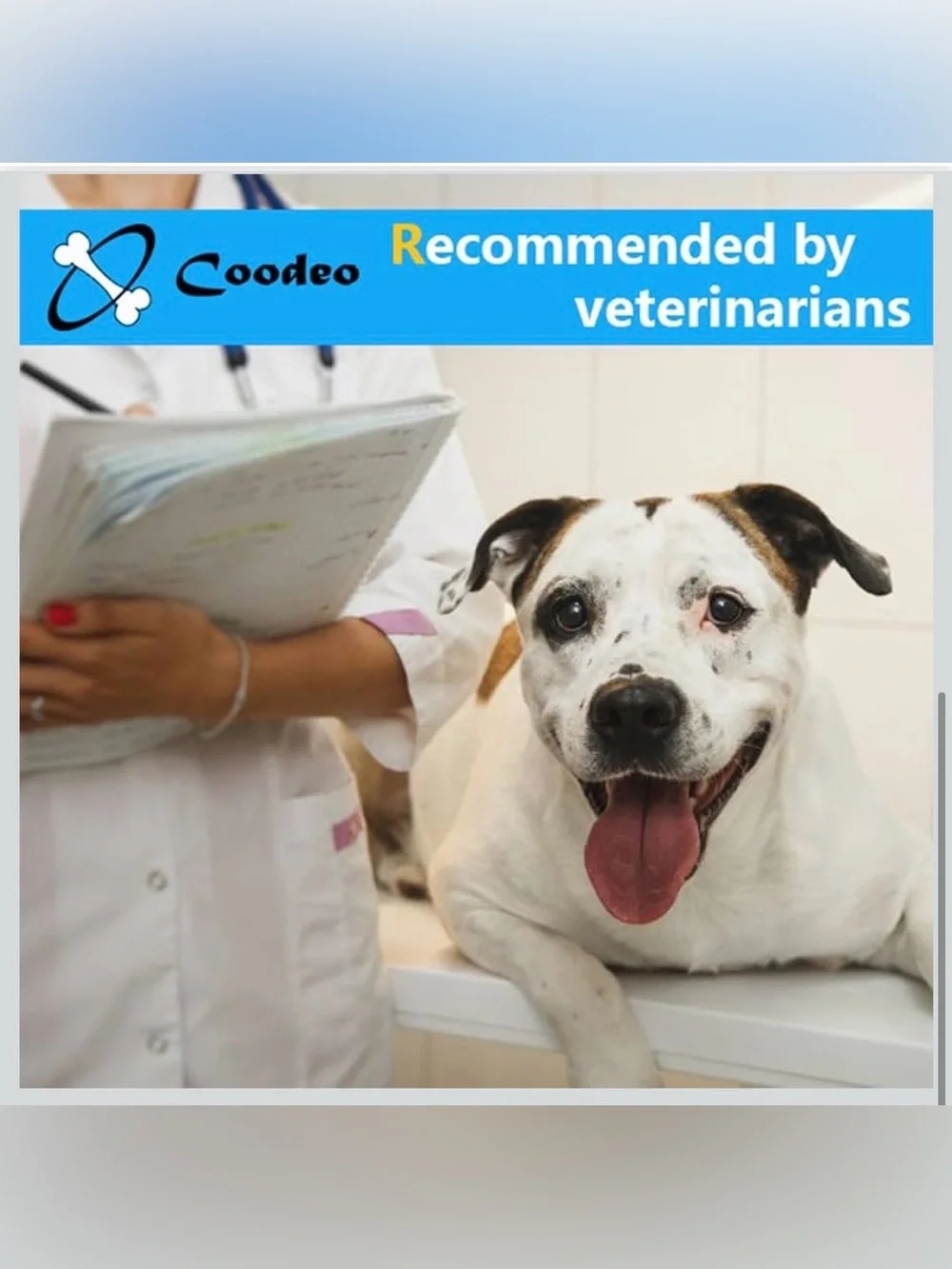 Dog Back Brace for  Arthritis, Pet Back Bracer for IVDD Back Protect 2188-1